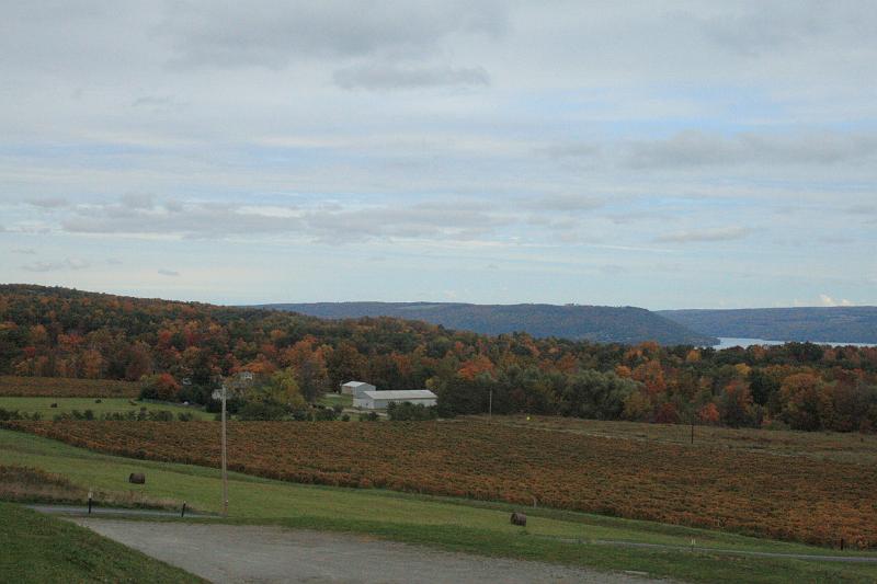 fing4256.JPG - Keuka Lake from the Heron hill winery
