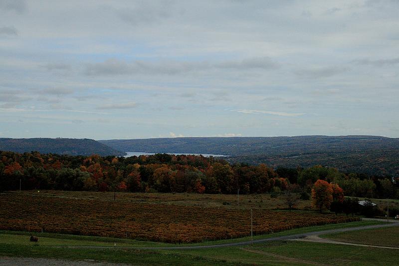 fing4257.JPG - Keuka Lake from the Heron hill winery