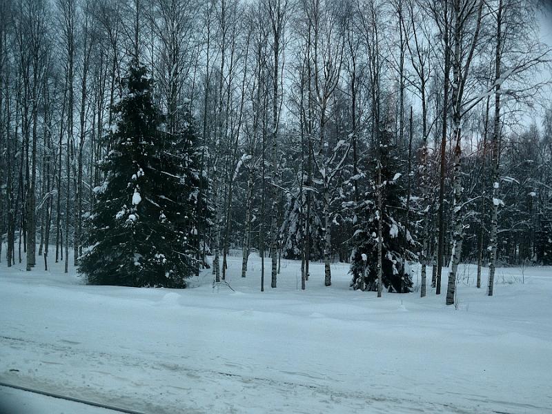 Finland0005.jpg - From the train window