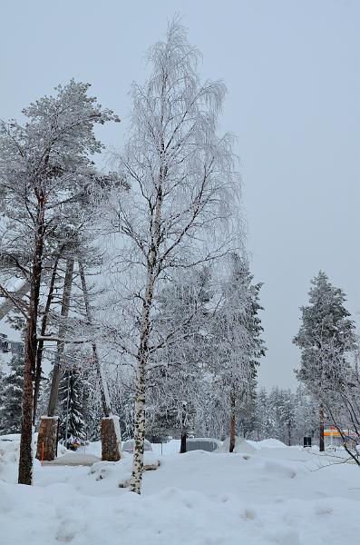 Finland0015.jpg - Santa Claus Village