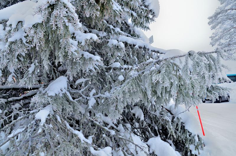 Finland0018.jpg - Santa Claus Village