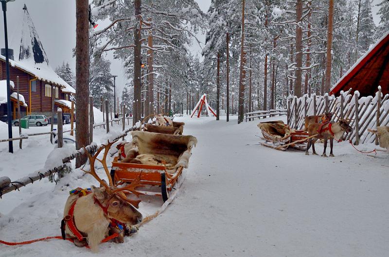 Finland0026.jpg - Santa Claus Reindeers