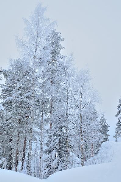 Finland0036.jpg - Santa Claus Village