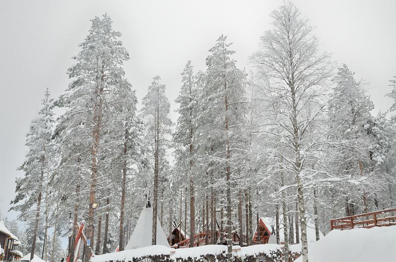 Finland0066.jpg - Reindeer Farm in the Santa Claus Village