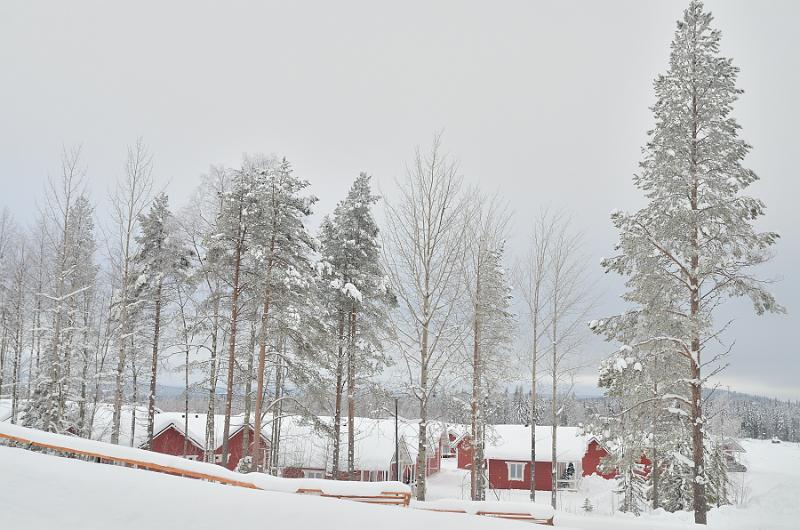 Finland0071.jpg - Santa Claus Village