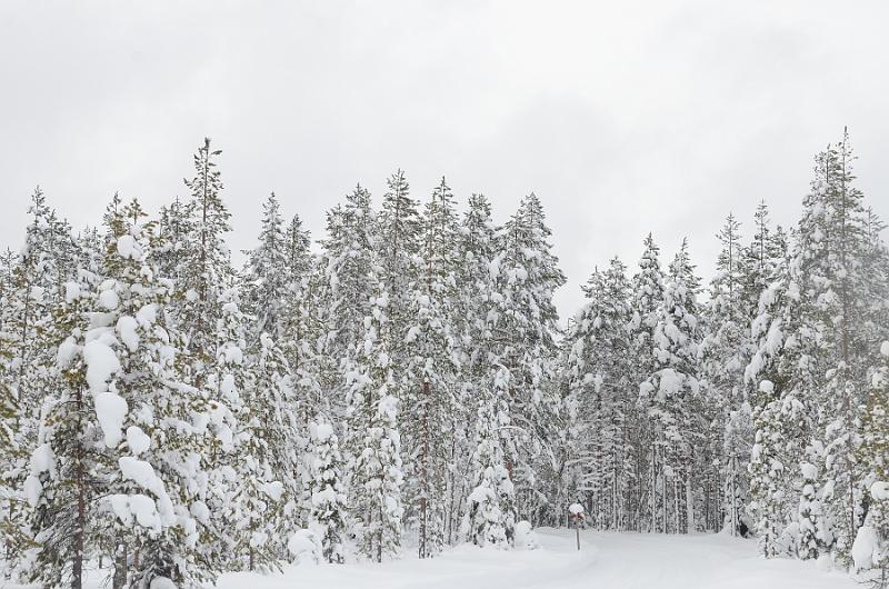 Finland0102.jpg - Arctic Circle Snowmobile Voyage