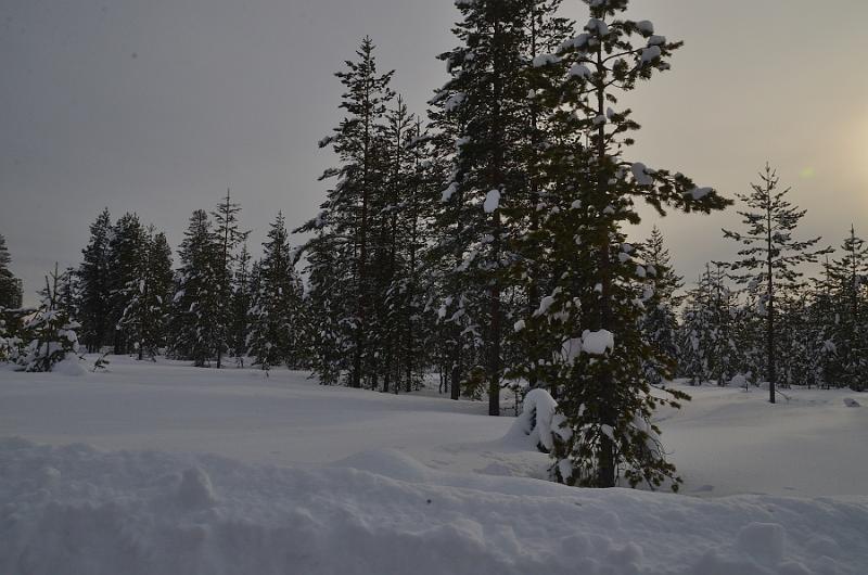 Finland0122.jpg - Arctic Circle Snowmobile Voyage