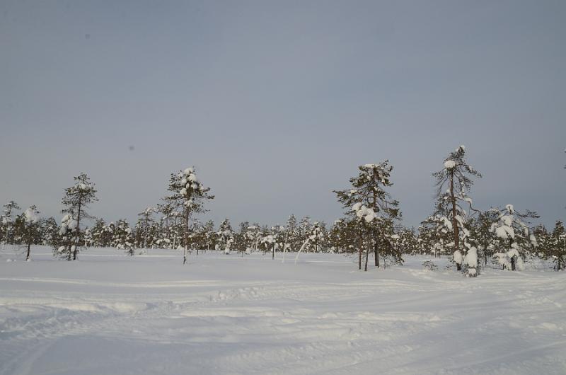 Finland0125.jpg - Arctic Circle Snowmobile Voyage