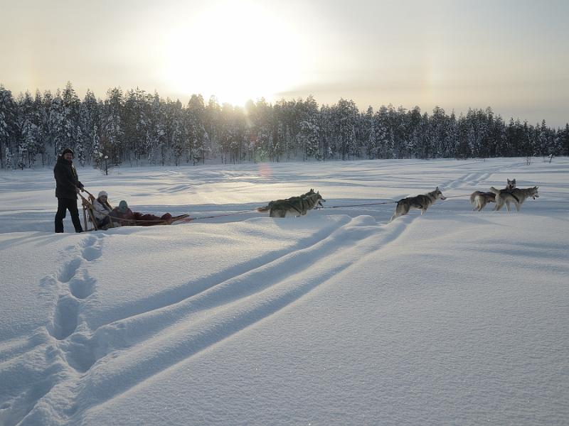 Finland0165.jpg - Husky Sleigh Ride