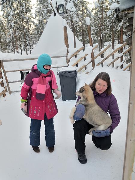 Finland0168.jpg - Husky Park