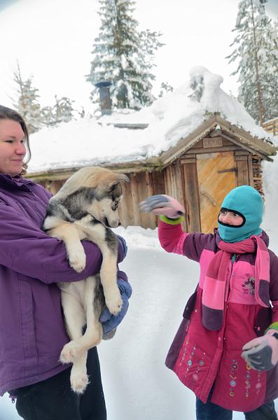 Finland0170.jpg - Husky Park
