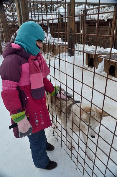 Finland0171.jpg - Husky Park