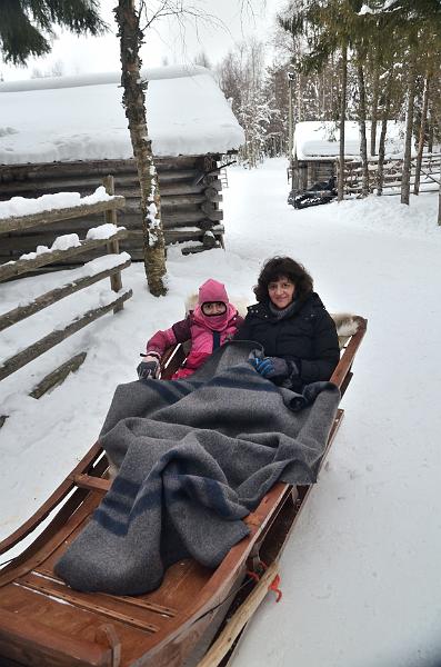 Finland0184.jpg - Reindeers sleigh ride