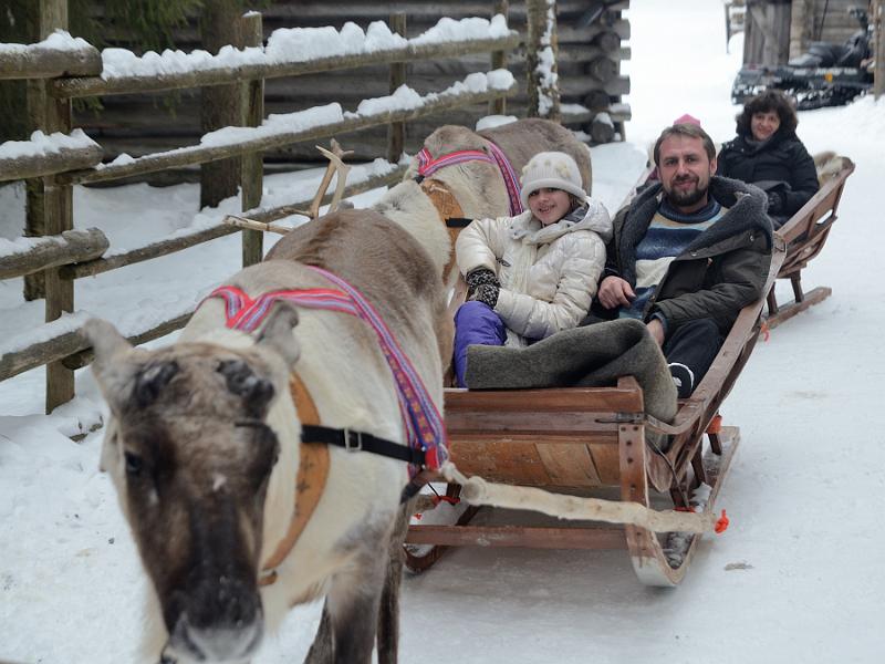 Finland0186.jpg - Reindeers sleigh ride