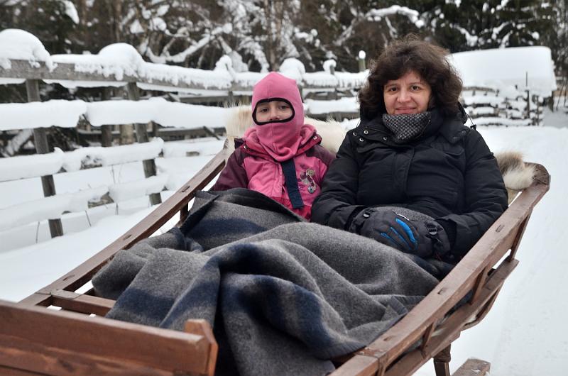 Finland0189.jpg - Reindeers sleigh ride