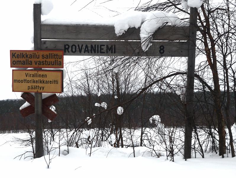 Finland0190.jpg - Reindeers sleigh ride