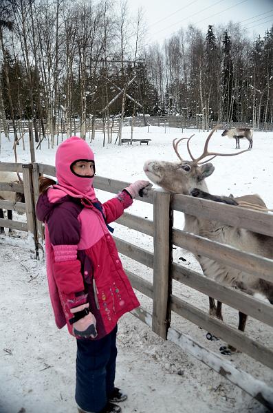 Finland0198.jpg - Reindeers park