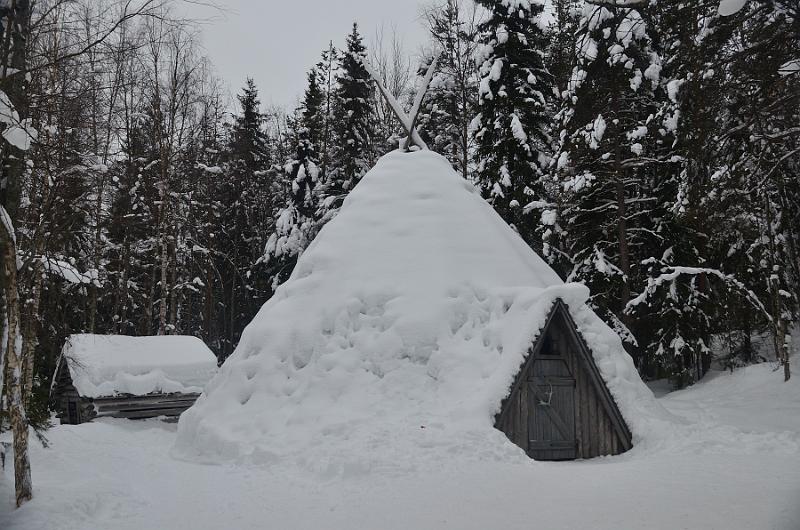 Finland0202.jpg - Reindeers park