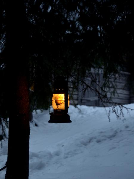 Finland0203.jpg - Reindeers park