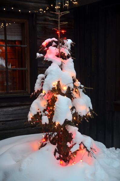 Finland0205.jpg - Reindeers park