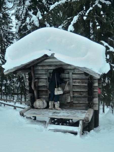 Finland0208.jpg - Reindeers park