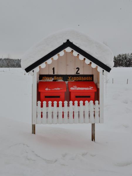Finland0306.jpg - On the way to Ranua Wildlife Park 