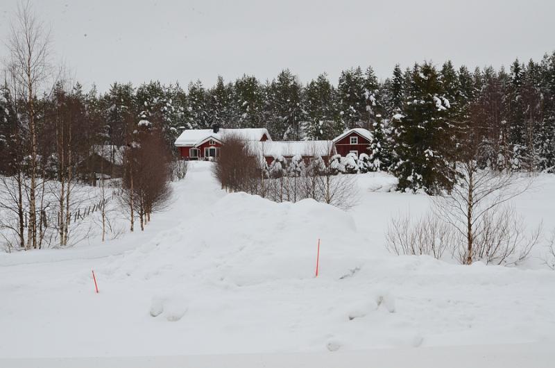 Finland0307.jpg - On the way to Ranua Wildlife Park 