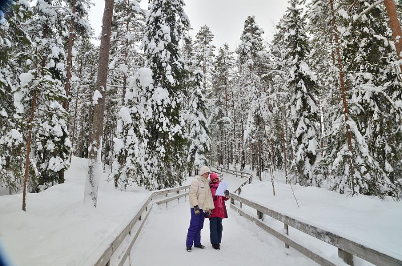 Finland0308.jpg - Ranua Wildlife Park 
