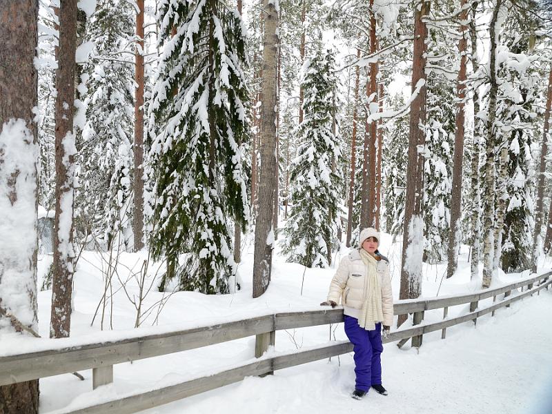 Finland0309.jpg - Ranua Wildlife Park 
