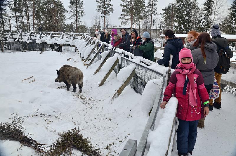 Finland0313.jpg - Ranua Wildlife Park 