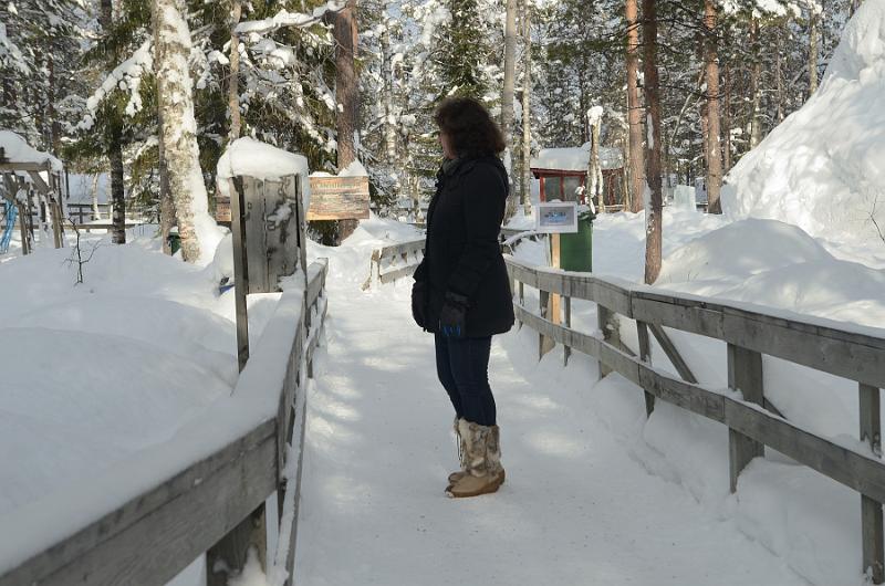 Finland0334.jpg - Ranua Wildlife Park