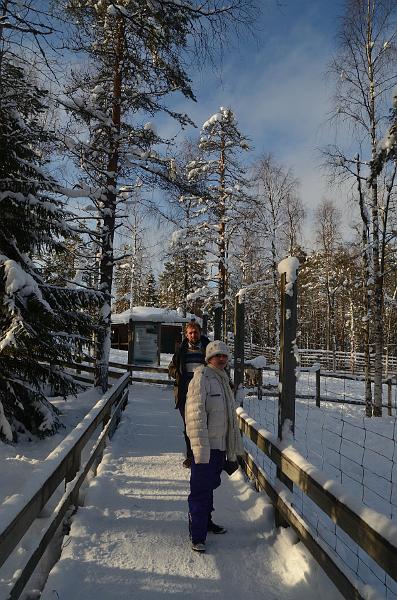 Finland0338.jpg - Ranua Wildlife Park 