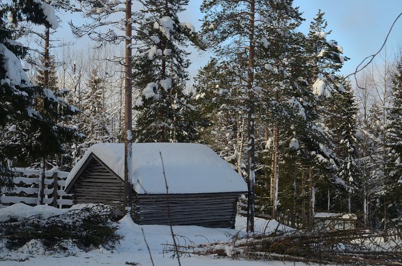 Finland0340.jpg - Ranua Wildlife Park 