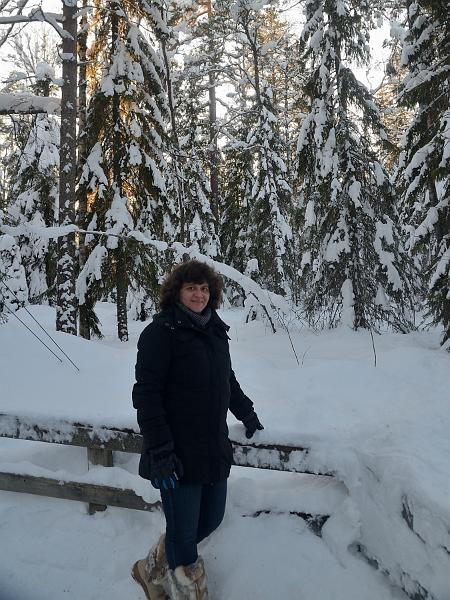 Finland0358.jpg - Ranua Wildlife Park 