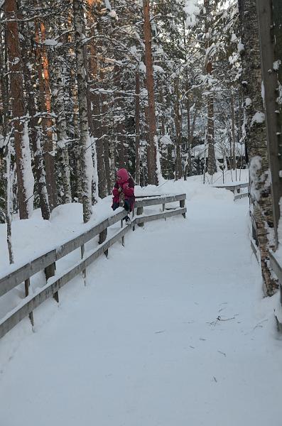 Finland0359.jpg - Ranua Wildlife Park 