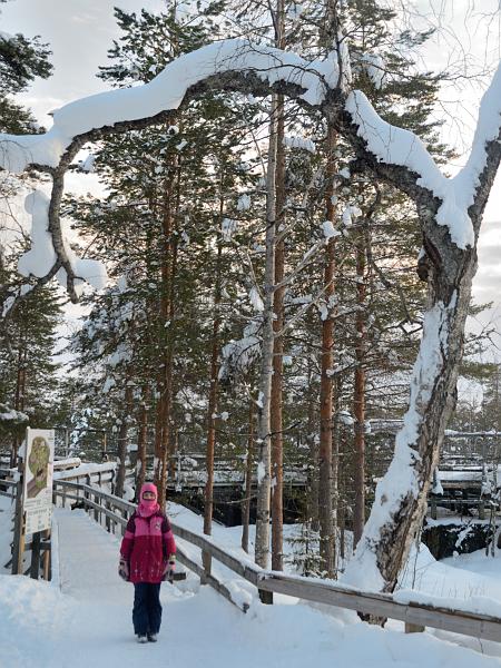 Finland0363.jpg - Ranua Wildlife Park 