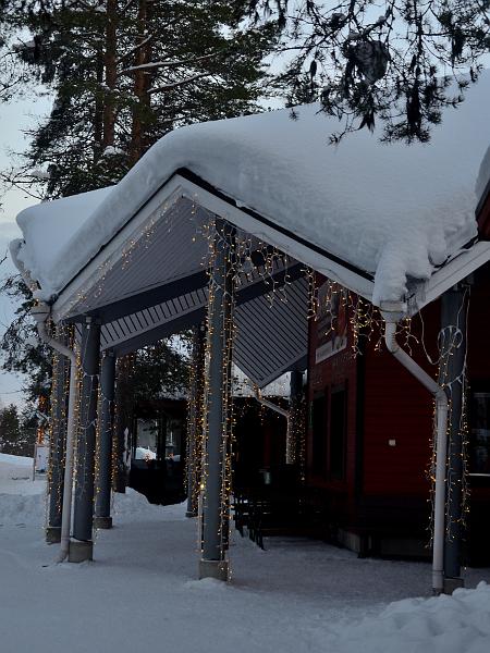 Finland0365.jpg - Ranua Wildlife Park 