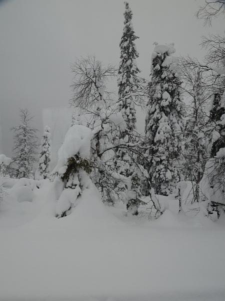 Finland0372.jpg - Lampivaara Amethyst Mine
