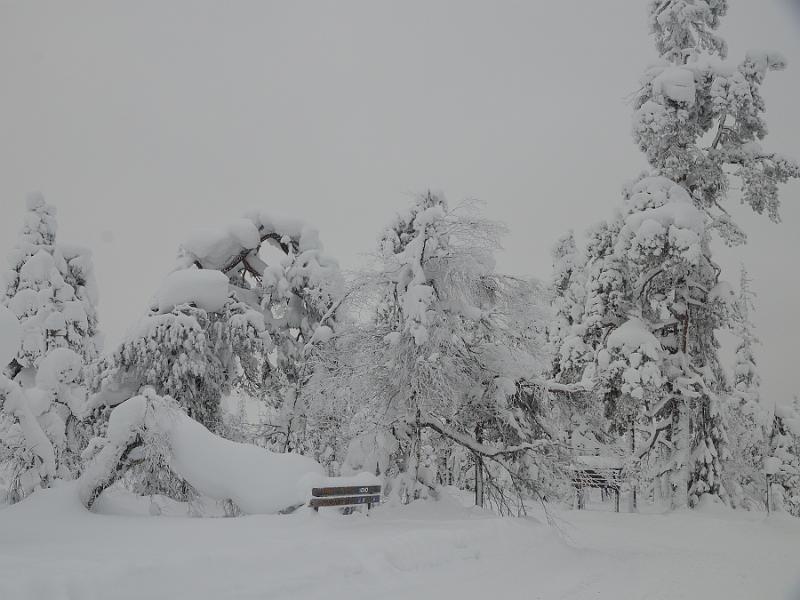 Finland0379.jpg -  Lampivaara Amethyst Mine
