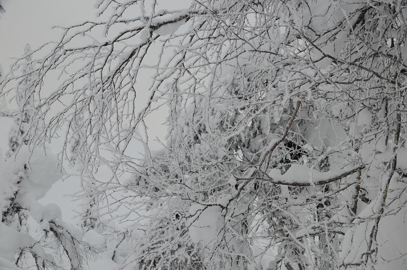 Finland0380.jpg -  Lampivaara Amethyst Mine