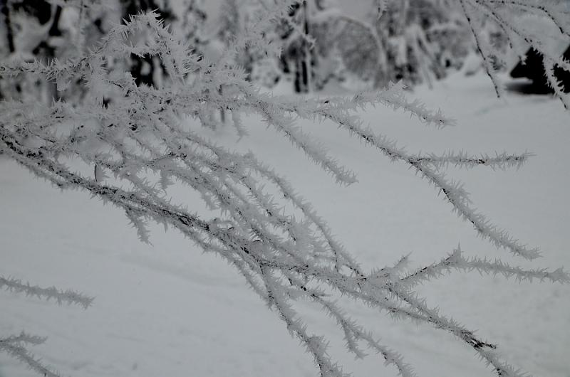 Finland0381.jpg -  Lampivaara Amethyst Mine
