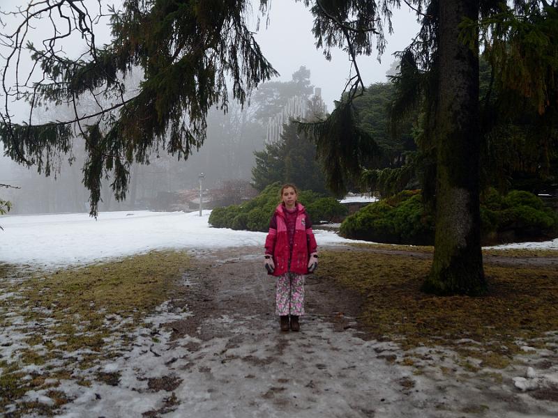 Finland0415.jpg - Helsinki - Sibelius monument park