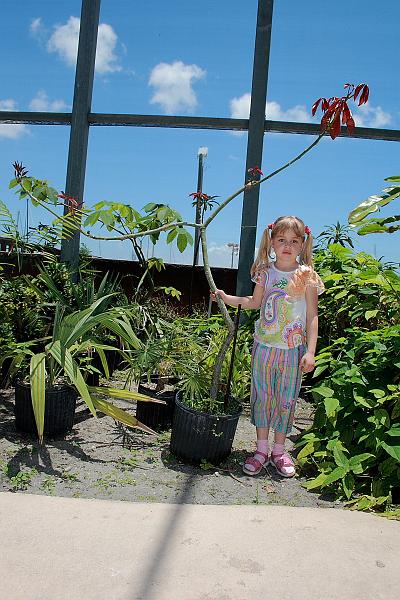 florid3267.JPG - Parrot Park