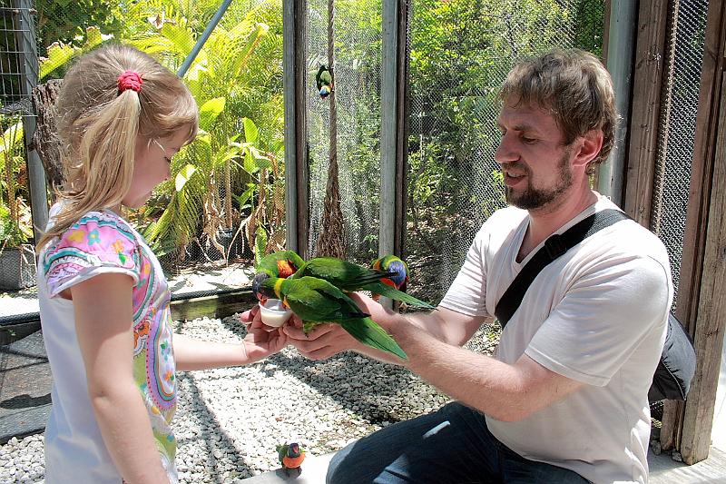 florid3271.JPG - Parrot Park