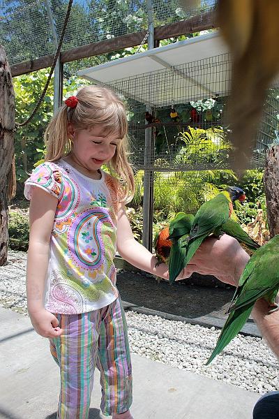 florid3272.JPG - Parrot Park