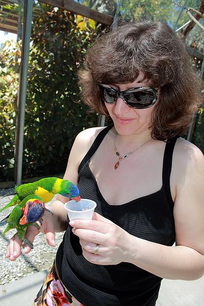 florid3275.JPG - Parrot Park