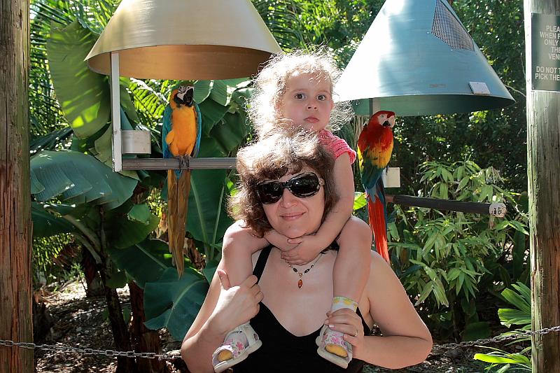 florid3280.JPG - Parrot Park