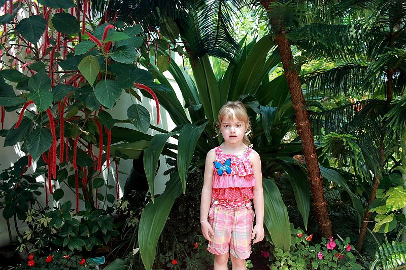 florid3289.JPG - Key West - Butterfly Garden