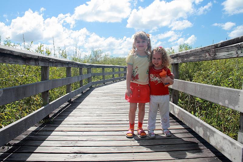 florid3337.JPG - Everglades Park