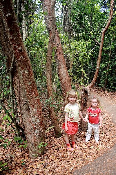 florid3340.JPG - Everglades Park